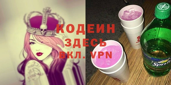 шишки Верея